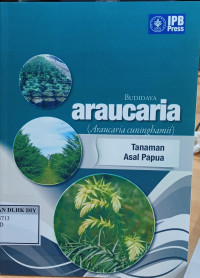 Image of BUDIDAYA ARAUCARIA (ARAUCARIA CUNINGBAMII) TANAMAN ASAL PAPUA