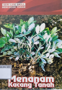 Image of MENANAM KACANG TANAH
