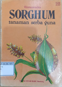 Image of SORGHUM TANAMAN SERBA GUNA
